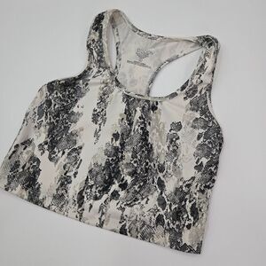 Evolution and Creation printed sports bra
